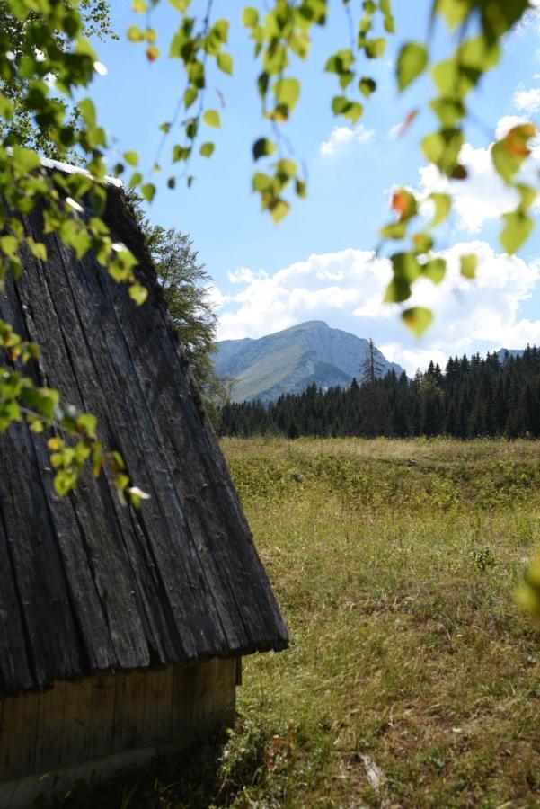 Vukovic House-Moticki Gaj Villa Zabljak  Bagian luar foto