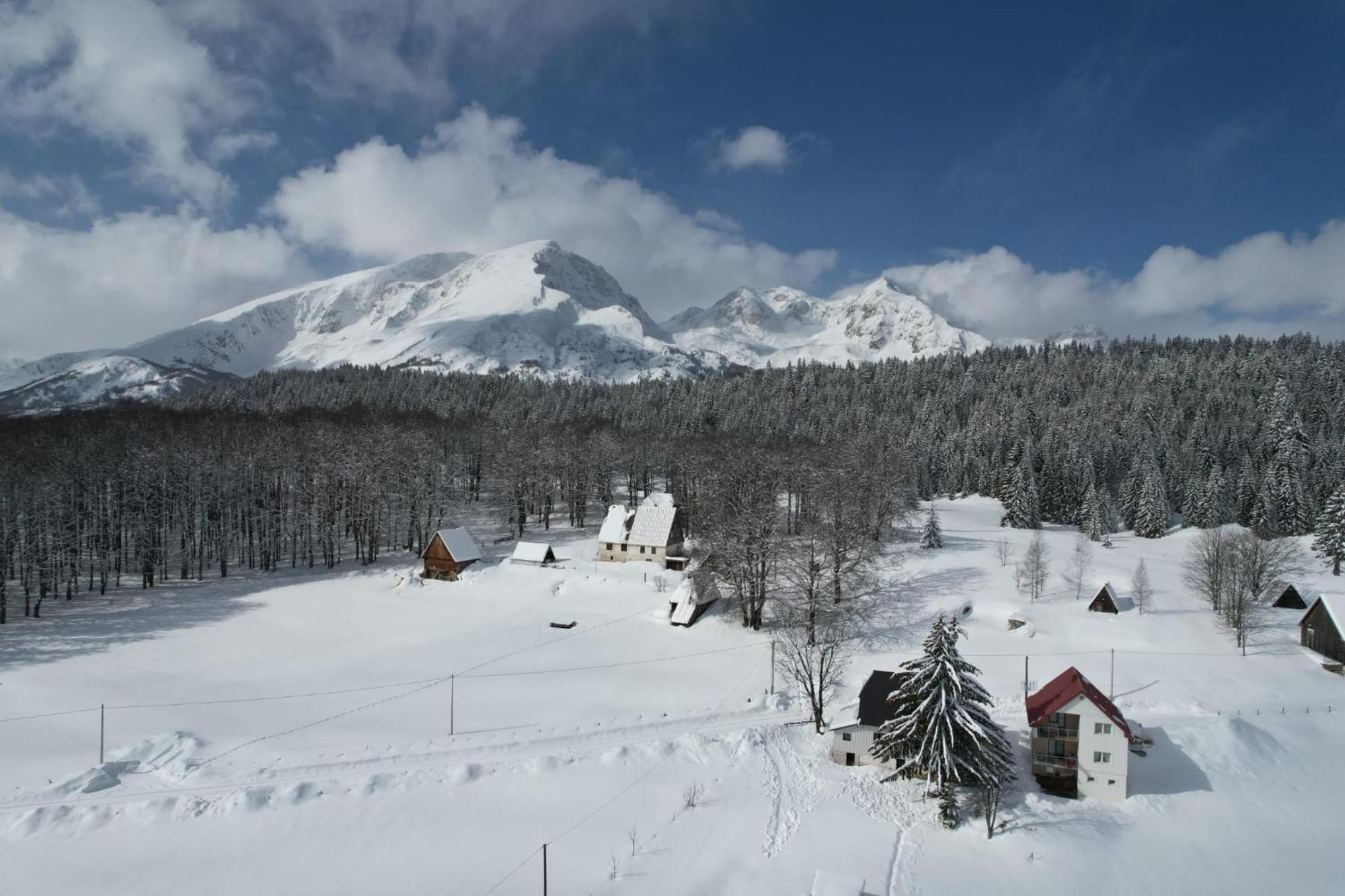 Vukovic House-Moticki Gaj Villa Zabljak  Ruang foto